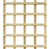 Rankgitter 60 x 180 cm kesseldruckimprägniert