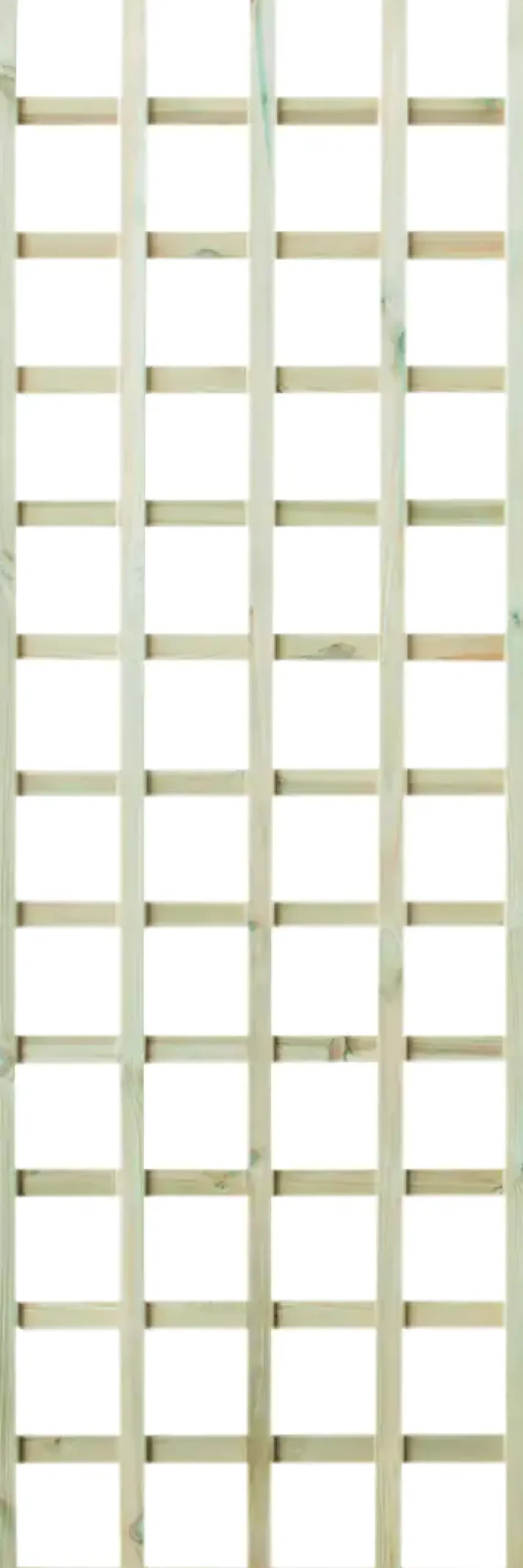Rankgitter 60 x 180 cm kesseldruckimprägniert
