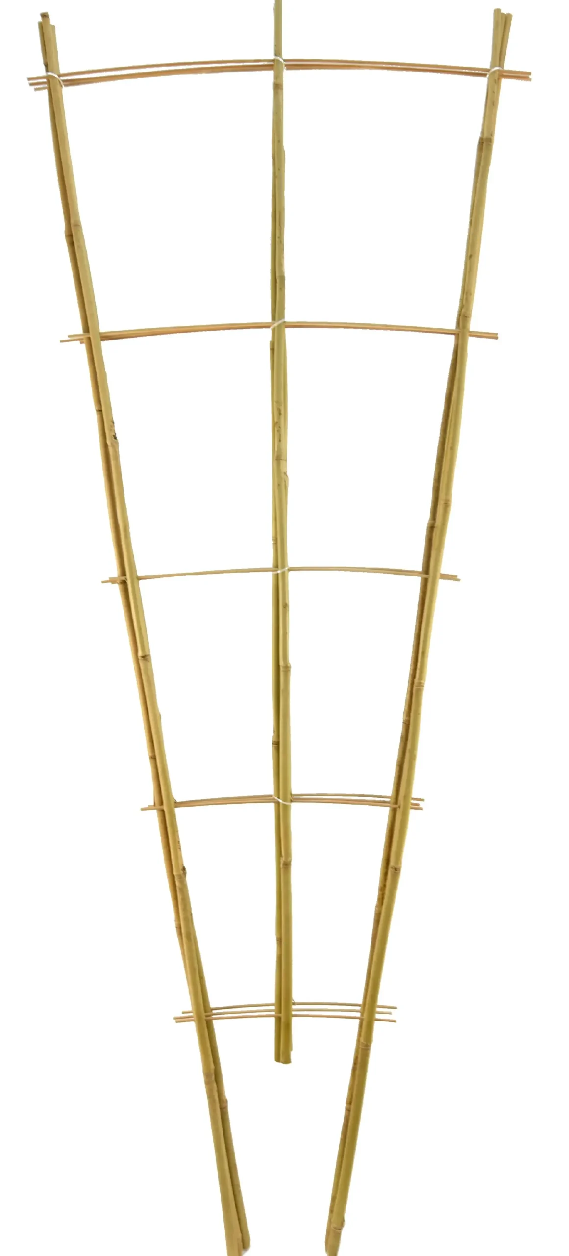 Rankgitter Bambus 50x13x150 cm