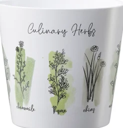 Scheurich Übertopf Culinary Herbs Ø 14 x 13,2 cm weiß-grün