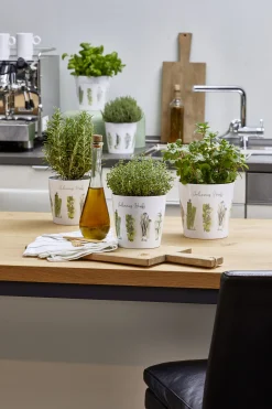 Scheurich Übertopf Culinary Herbs Ø 14 x 13,2 cm weiß-grün