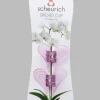Scheurich Orchideen-Clips pink 2er Pack