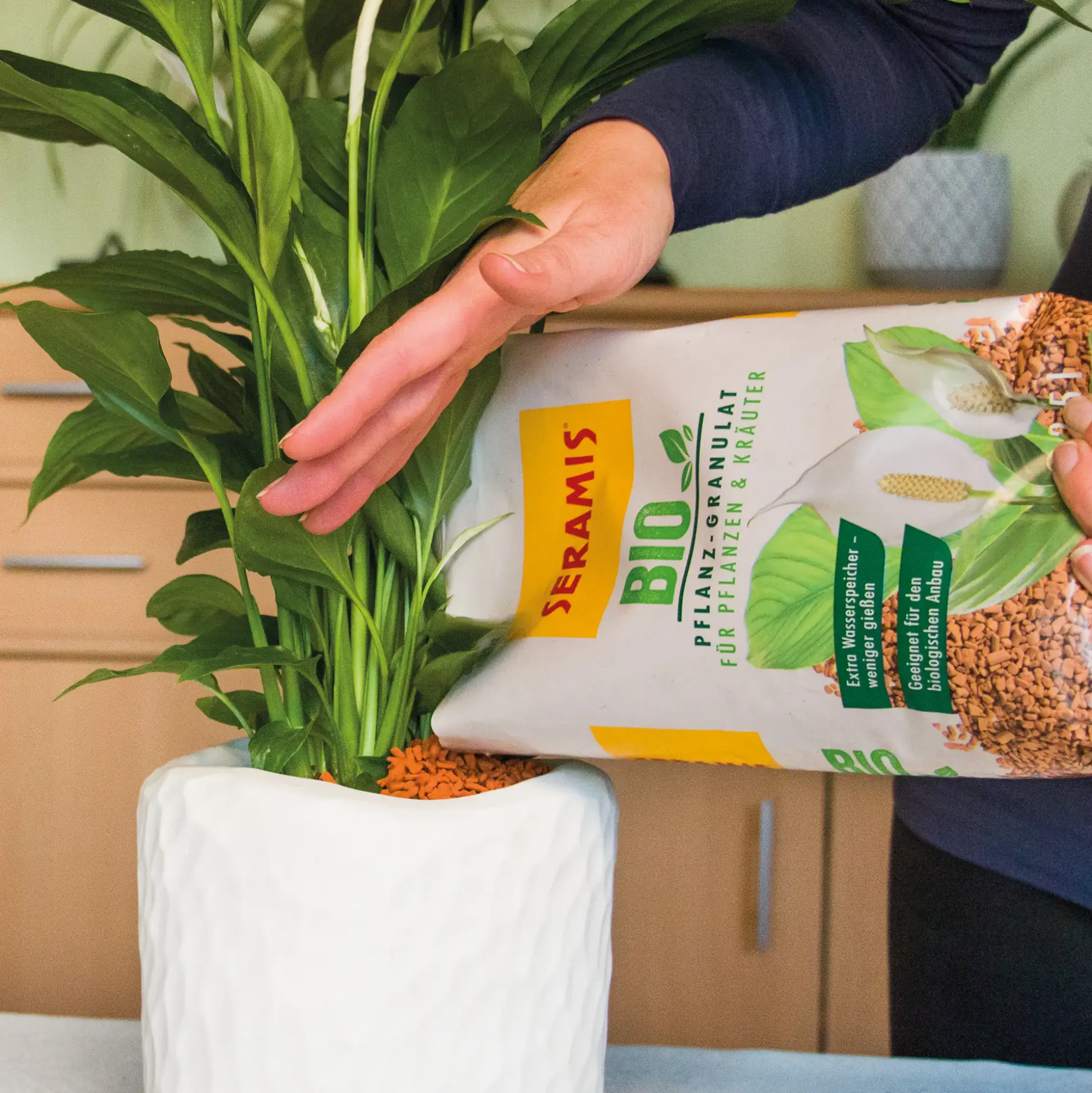Seramis Bio-Pflanz-Granulat für Pflanzen & Kräuter 6 l
