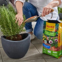 Seramis Pflanz-Granulat für Beet- Balkon- & Kübelpflanzen 12,5 L