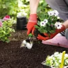Seramis Torffreie Leichte Blumenerde 12,5 l