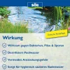 Söll Poolpflege AquaDes 5 L