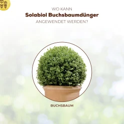 Solabiol Buchsbaum Dünger 1,5 kg