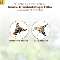 Solabiol Kirschfruchtfliegen Fallen 5 Stück