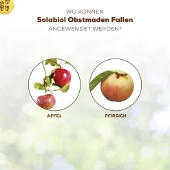 Solabiol Obstmaden Fallen 5 Stück
