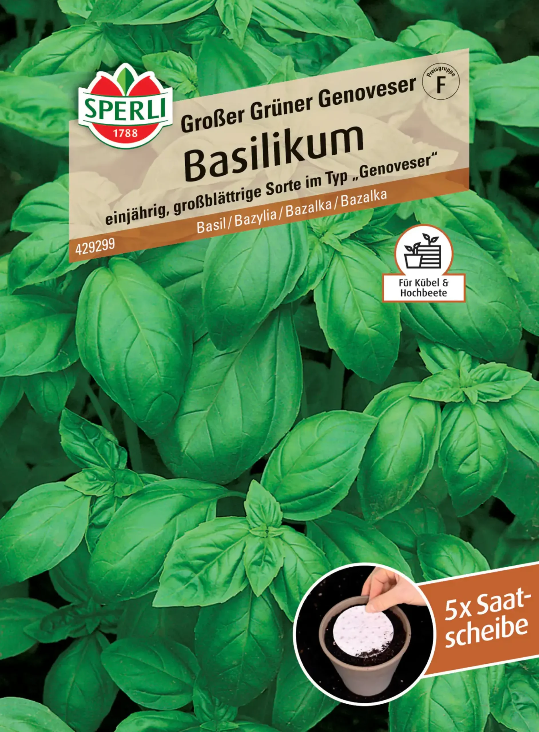 Sperli Basilikum Grosses Grünes Genoveser Saatscheibe