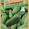 Sperli BIO Einlegegurke F1