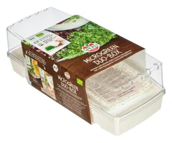 Sperli Bio Microgreen Duo-Box Anzuchtset Kresse Rauke