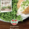 Sperli BIO Microgreen-Pads Rauke