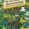 Sperli Blumenmischung Japanischer Blumenrasen
