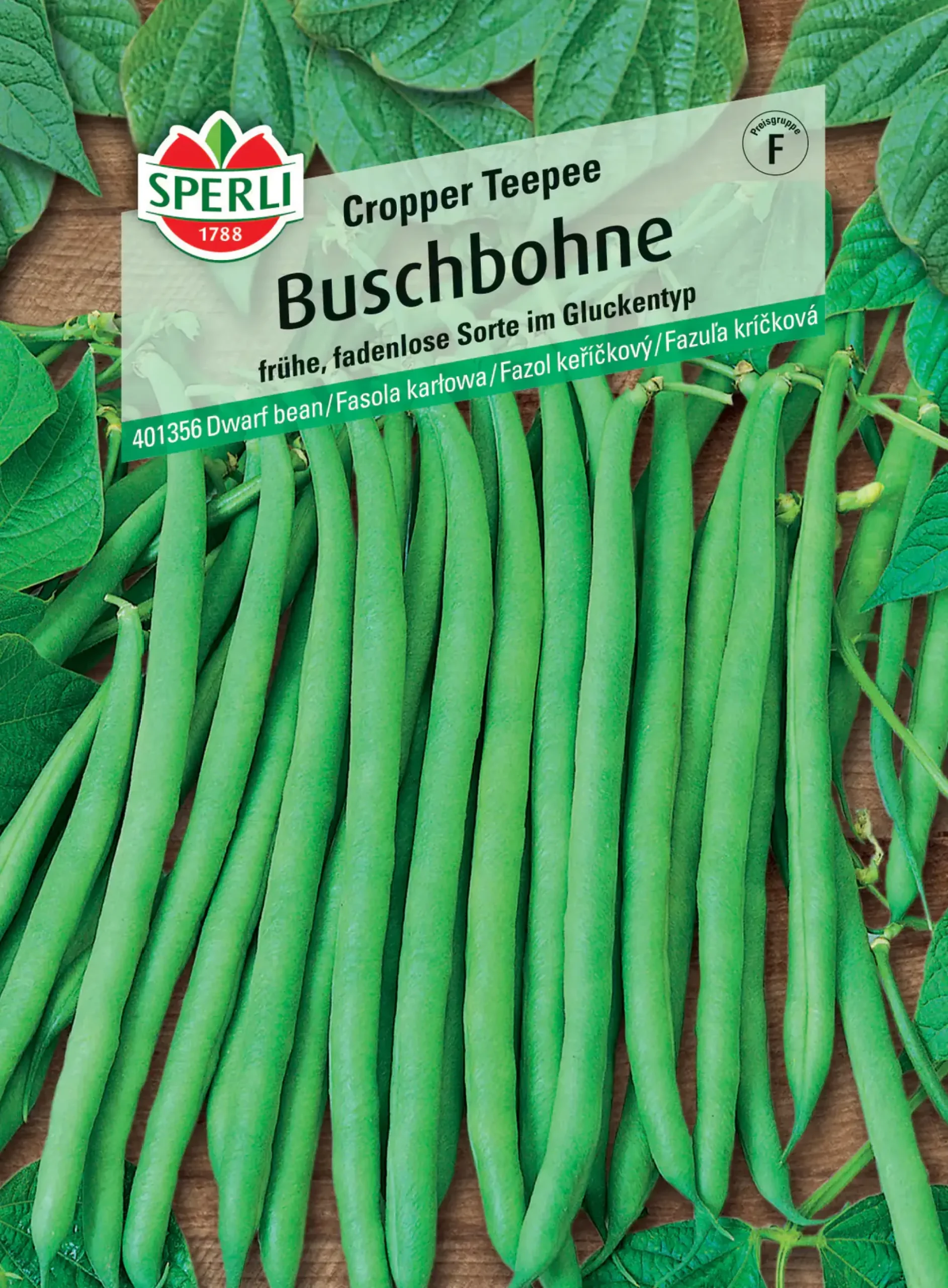 Sperli Buschbohne Cropper Teepee