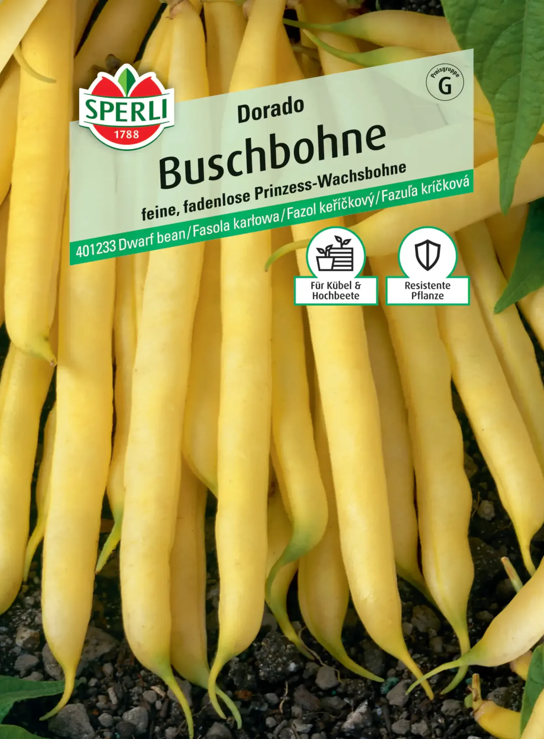 Sperli Buschbohne Dorado
