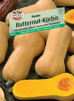 Sperli Butternutkürbis Hunter F1