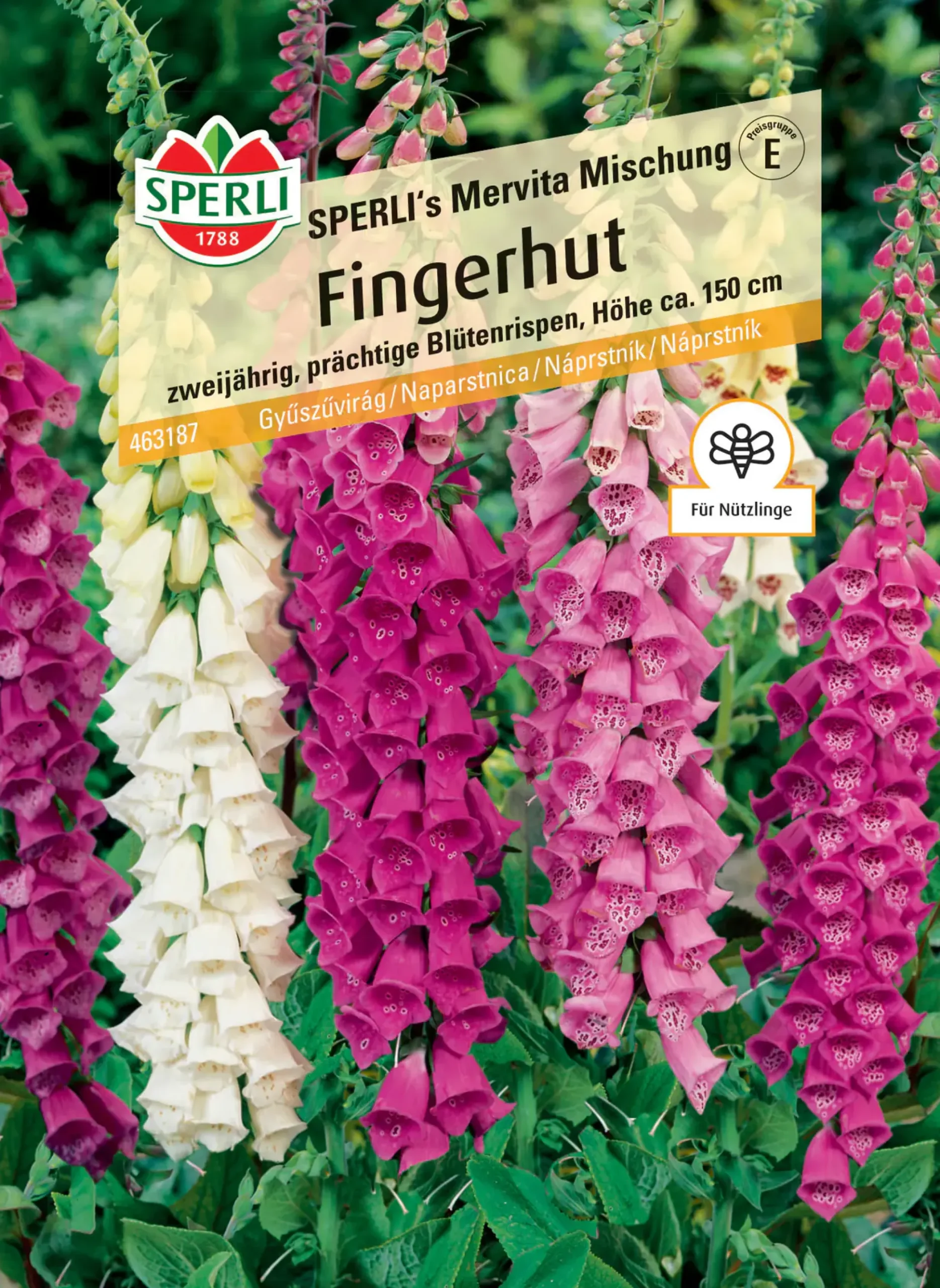 Sperli Fingerhut SPERLI's Mervita Mischung