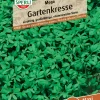 Sperli Gartenkresse Mega MaxiPack 50 g