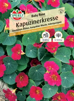 Sperli Kapuzinerkresse Baby Rose