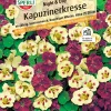 Sperli Kapuzinerkresse Night & Day
