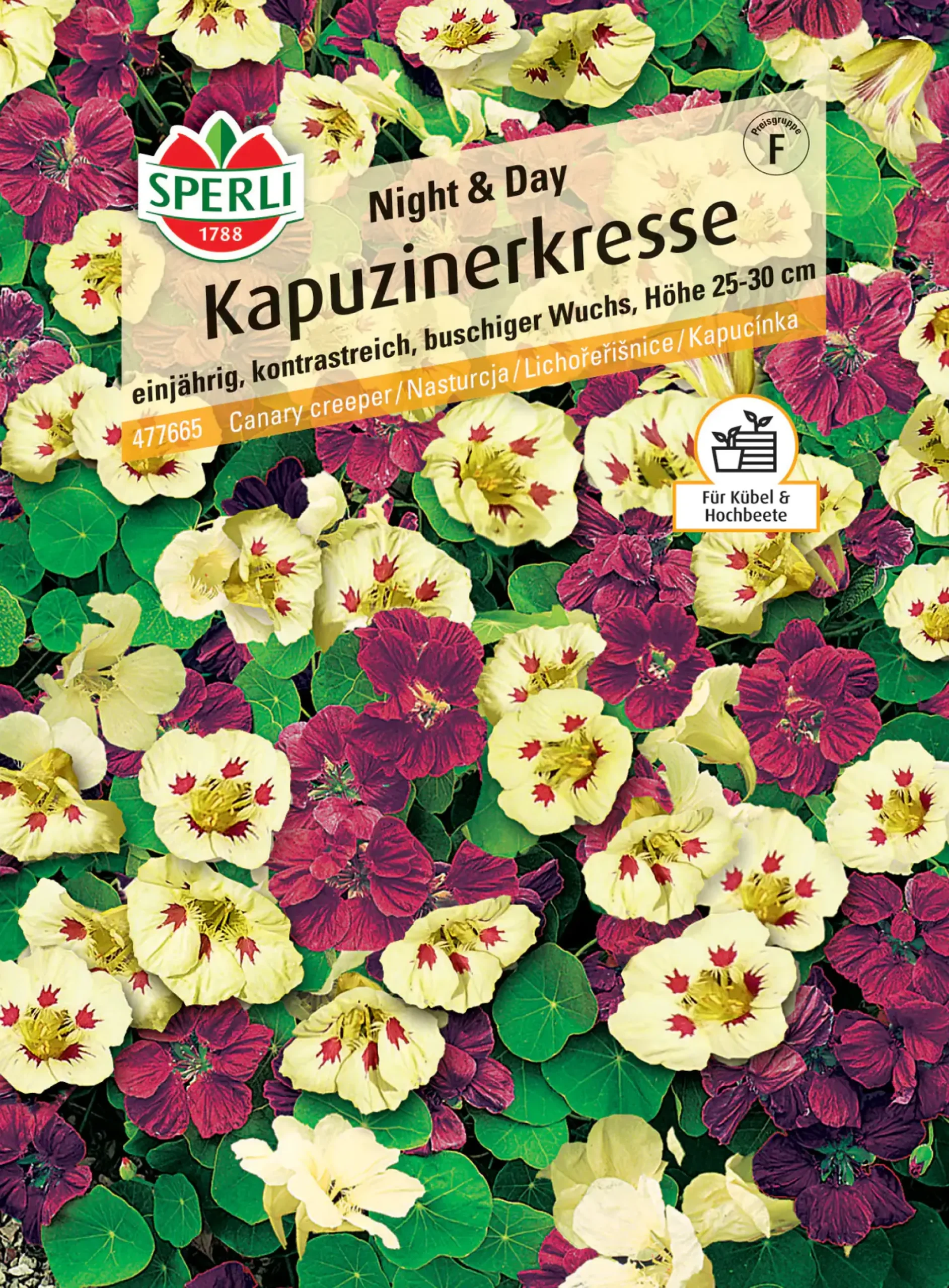 Sperli Kapuzinerkresse Night & Day
