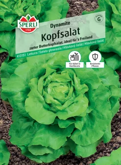 Sperli Kopfsalat Dynamite
