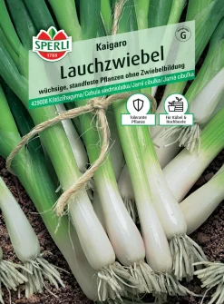 Sperli Lauchzwiebel Kaigaro