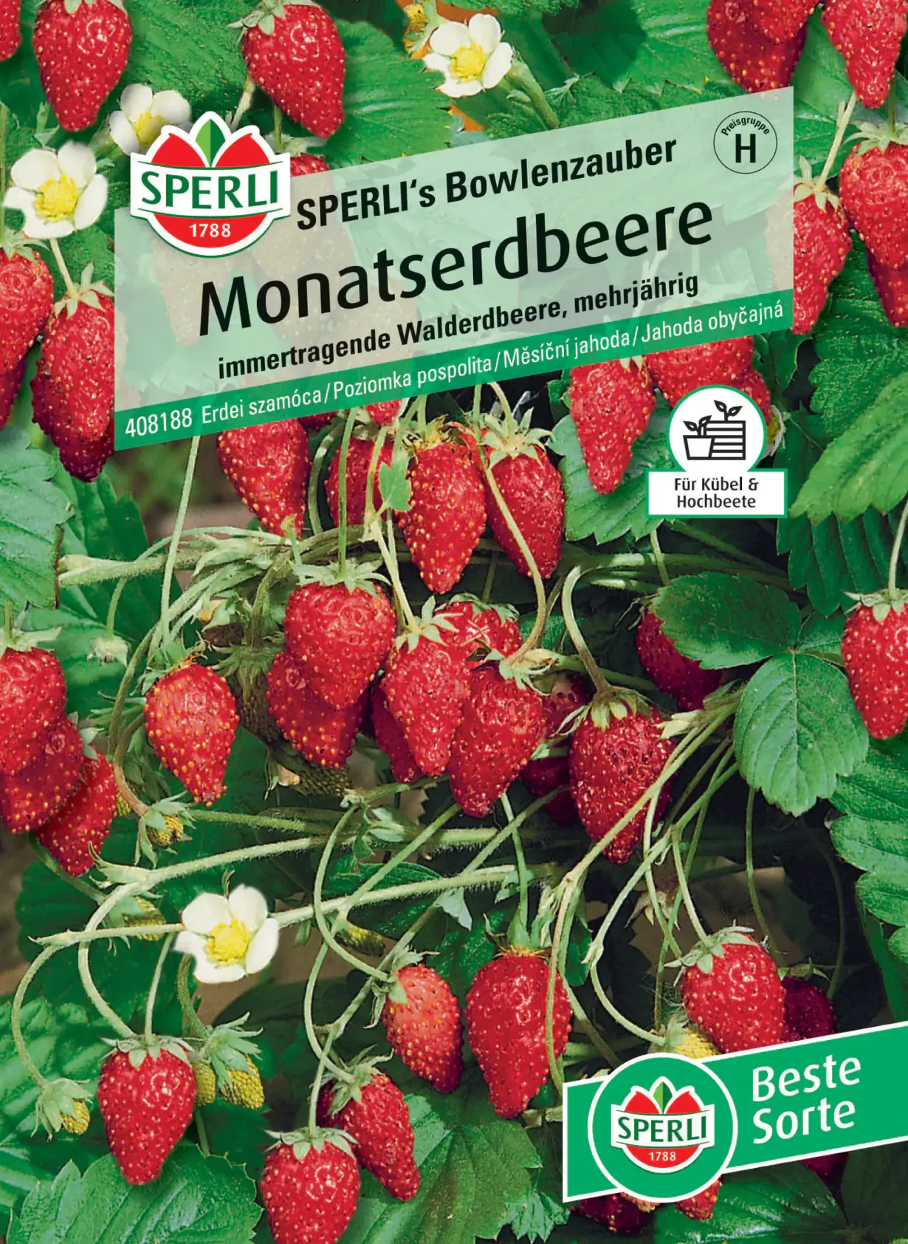 Sperli Monatserdbeere Sperli 's Bowlenzauber