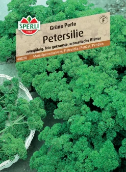 Sperli Petersilie Grüne Perle