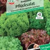 Sperli Pflücksalat Pflücksalat-Kombination Saatband