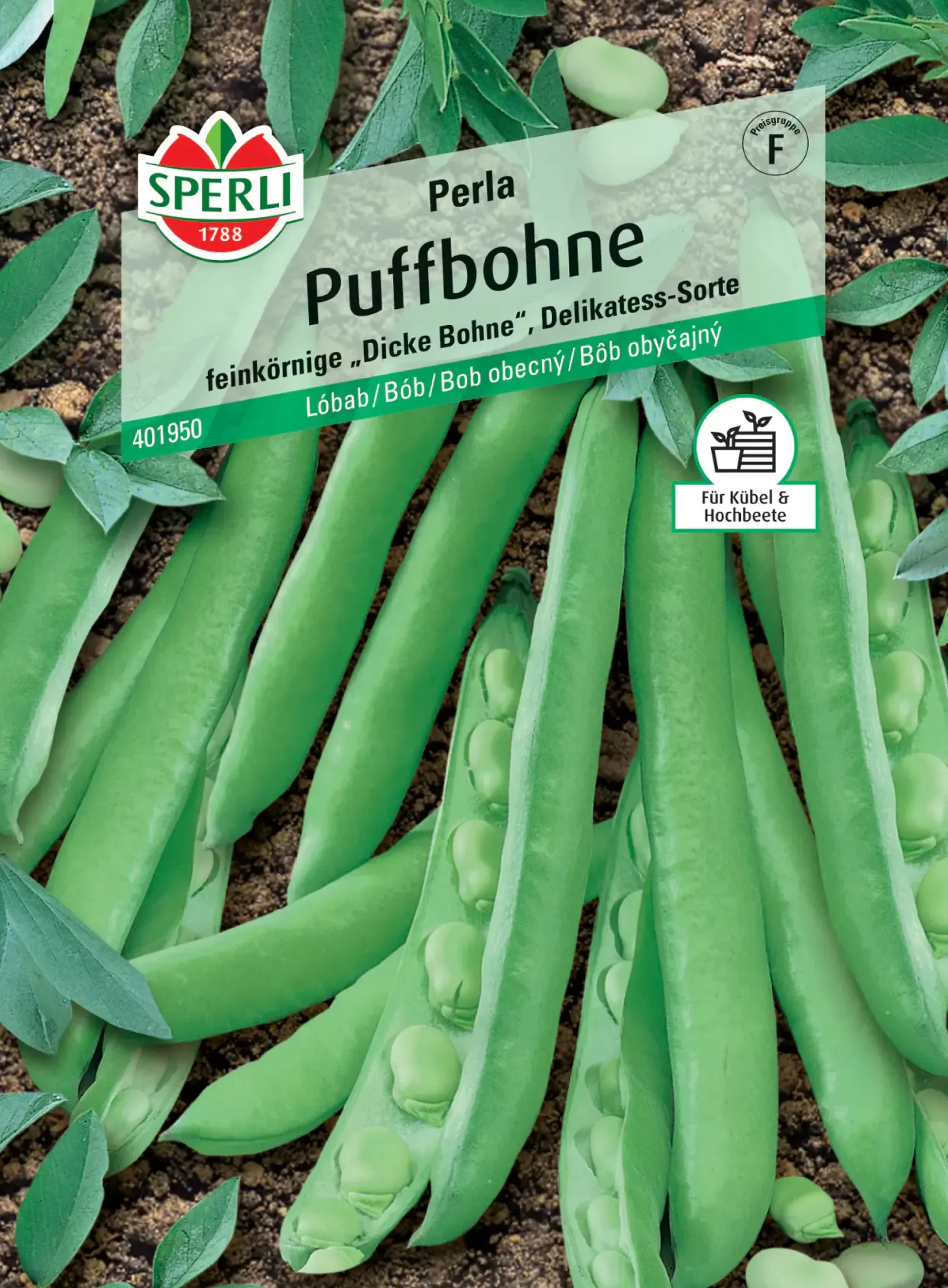 Sperli Puffbohne Perla