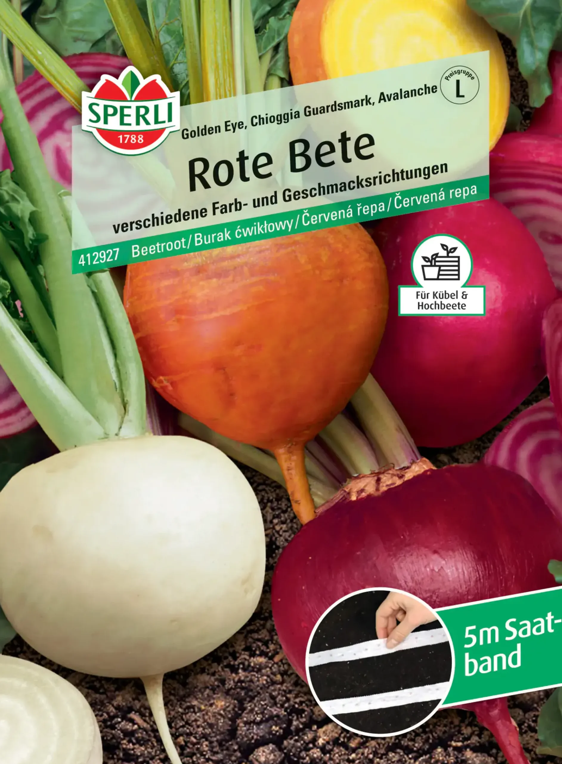 Sperli Rote Bete Golden Eye Chioggia Guardsmark Avalanche Saatband