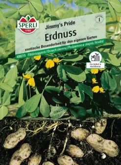 Sperli Saatgut Erdnuss Jimmy's Pride für ca. 5 Pflanzen