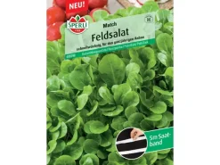 Sperli Saatgut Feldsalat Match für ca. 4 – 7,5 m²