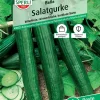 Sperli Salatgurke Bella F1