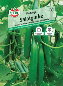 Sperli Salatgurke Flamingo F1