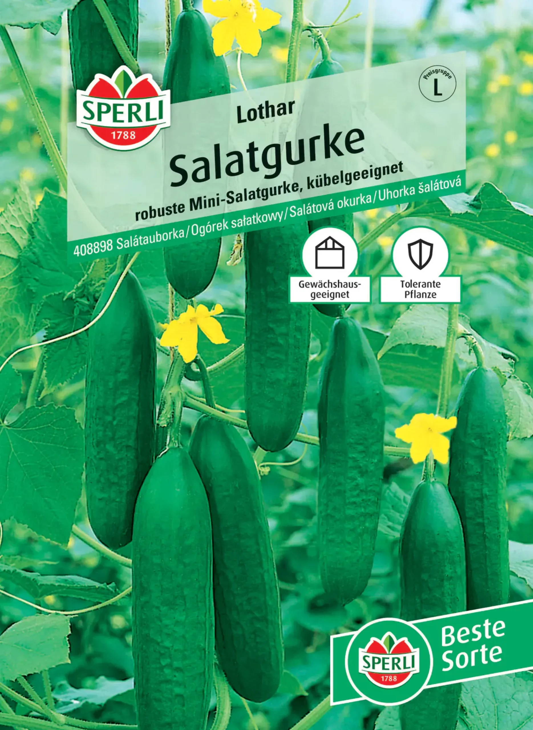 Sperli Salatgurke Lothar F1