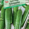 Sperli Salatgurke Southern Delight F1