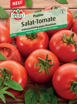 Sperli Salattomate Paoline F1