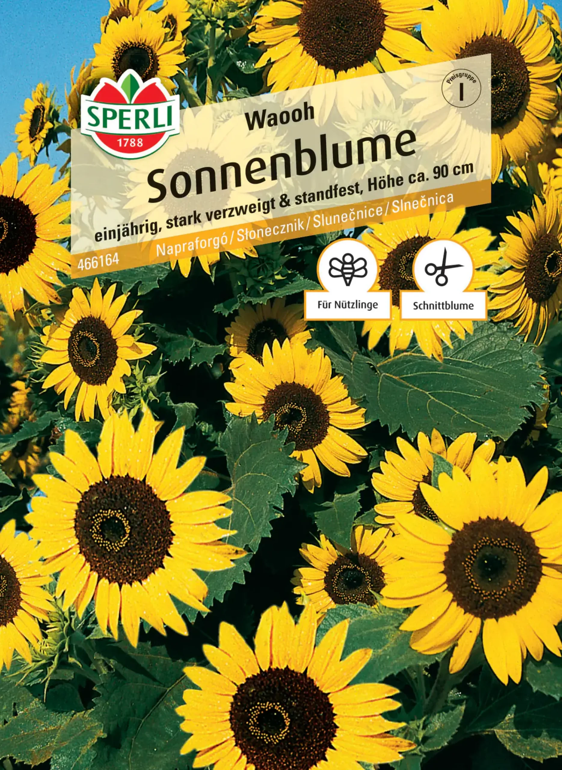 Sperli Sonnenblume Waooh