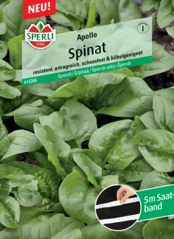 Sperli Spinat Apollo F1 Saatband