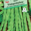 Sperli Stangenbohne Algarve
