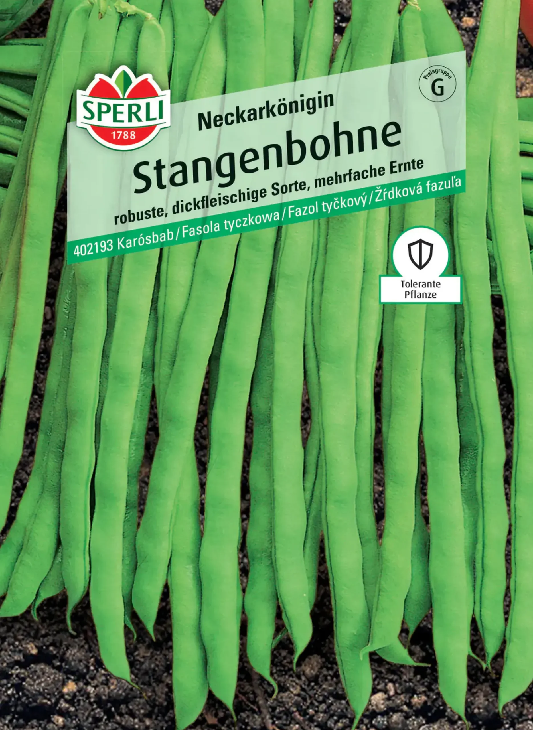 Sperli Stangenbohne Neckarkönigin
