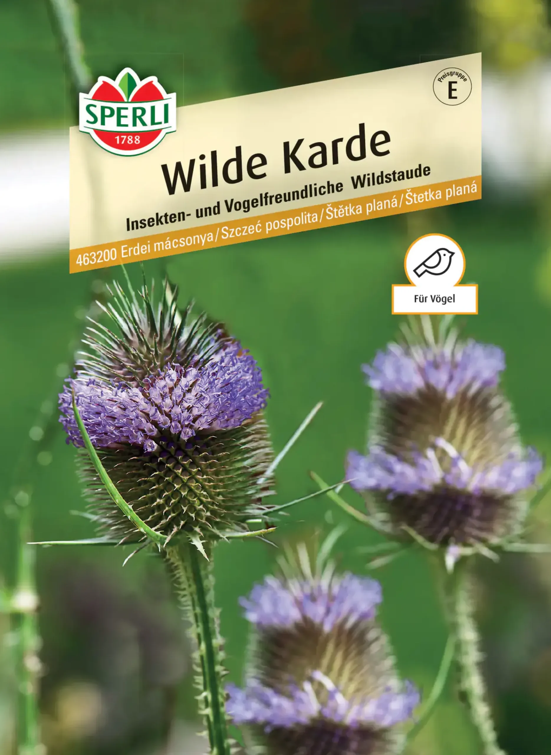 Sperli Wilde Karde