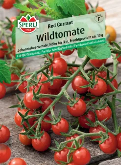 Sperli Wildtomate Red Currant
