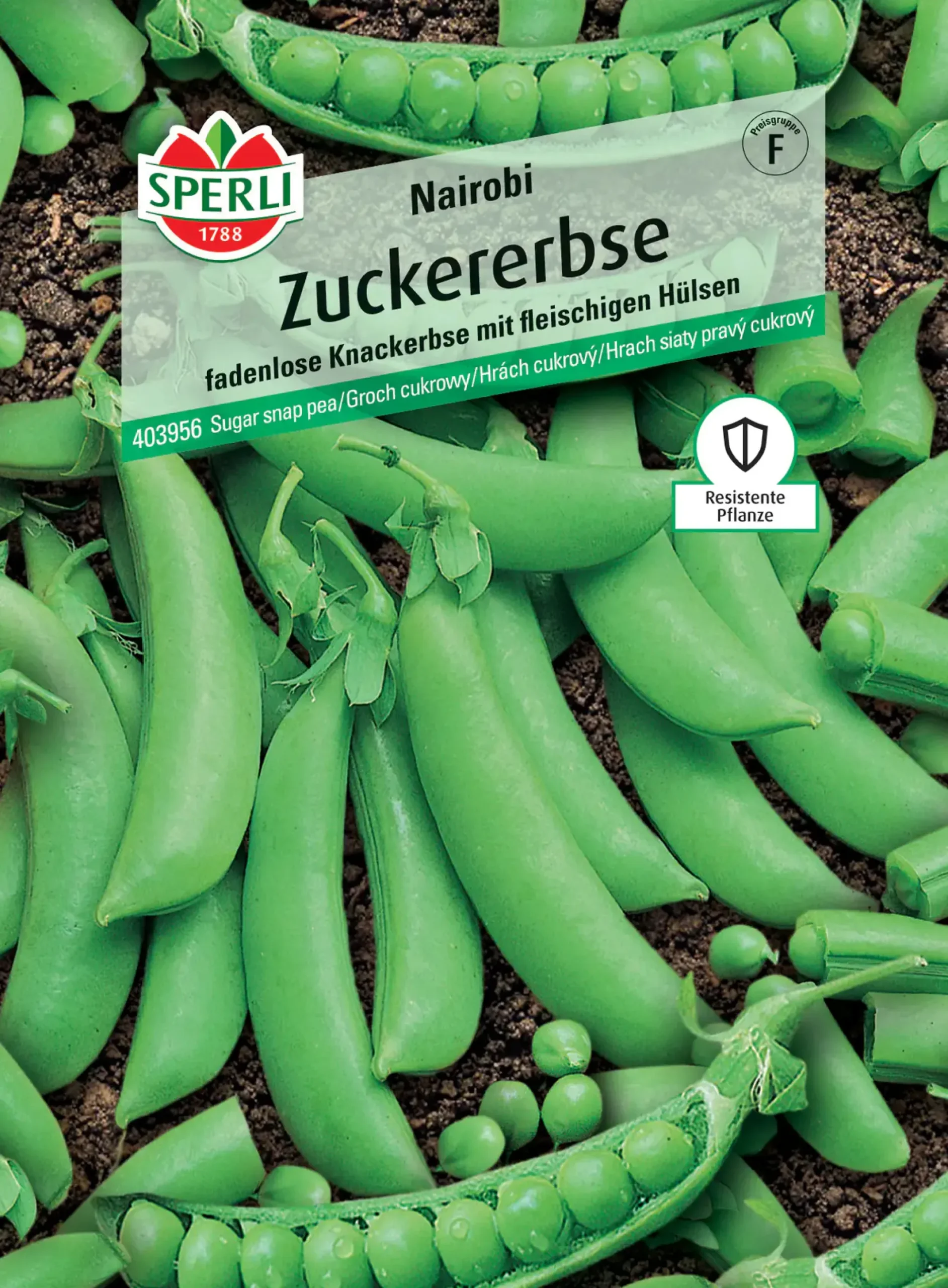 Sperli Zuckererbse Nairobi