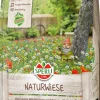 Sperli's Naturwiese heimische Wildblumen 250 g