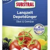 Substral Langezeit Depotdünger Obst & Gemüse 750 g
