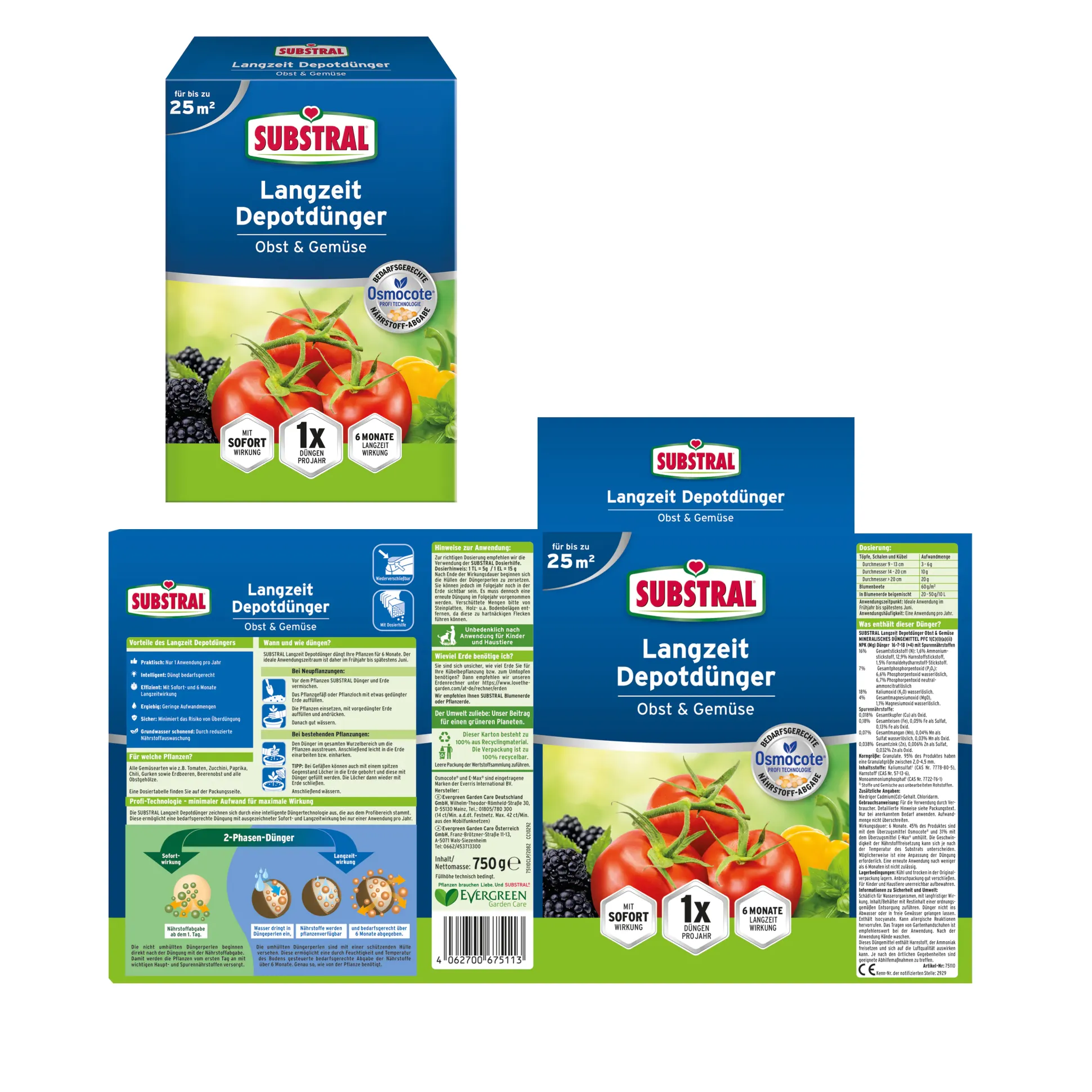 Substral Langezeit Depotdünger Obst & Gemüse 750 g